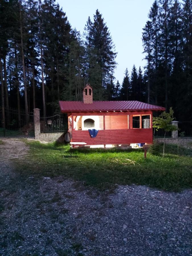 Casa De Vacanta Paraul Rece Exterior photo